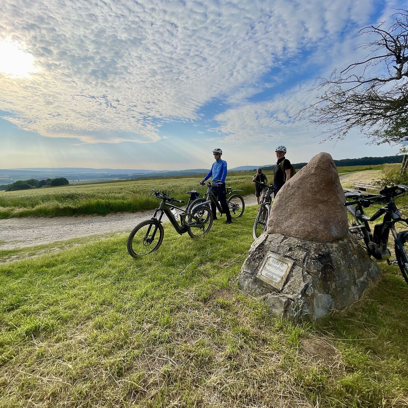 Am Temps-Stein: Lila-Wildsau-Feierabendtour 16.06.