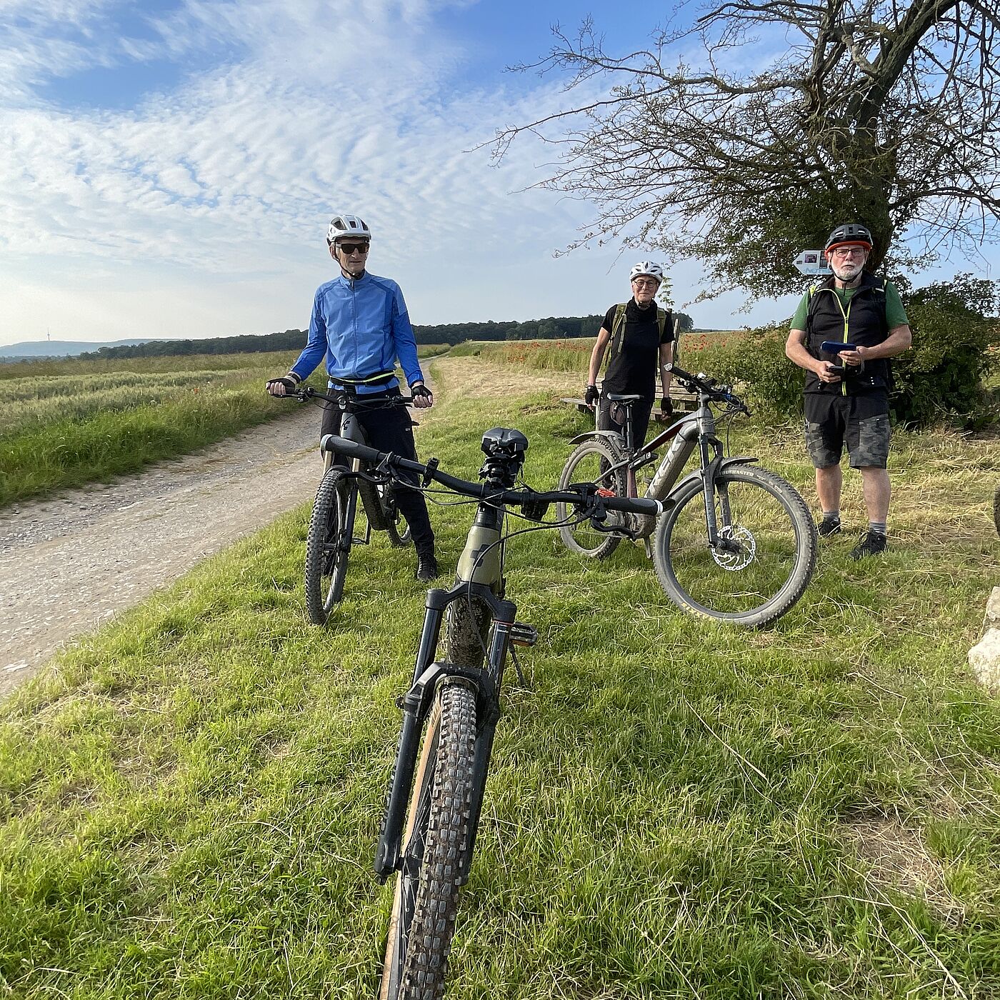 Am Temps-Stein: Lila-Wildsau-Feierabendtour 16.06.